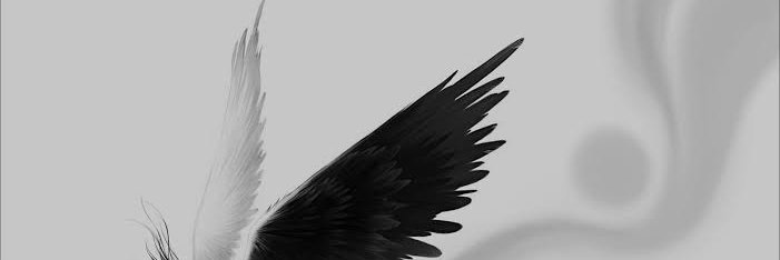 Anjo Bronze 💎😇 banner