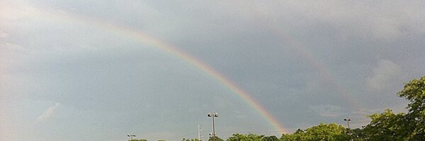 Nancycliu Profile Banner