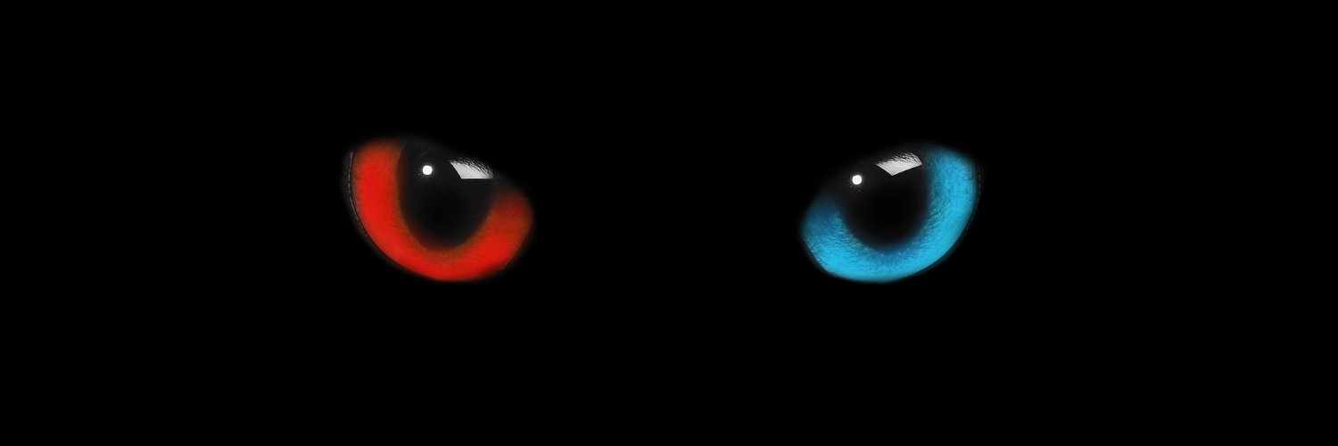 Switch Cat banner