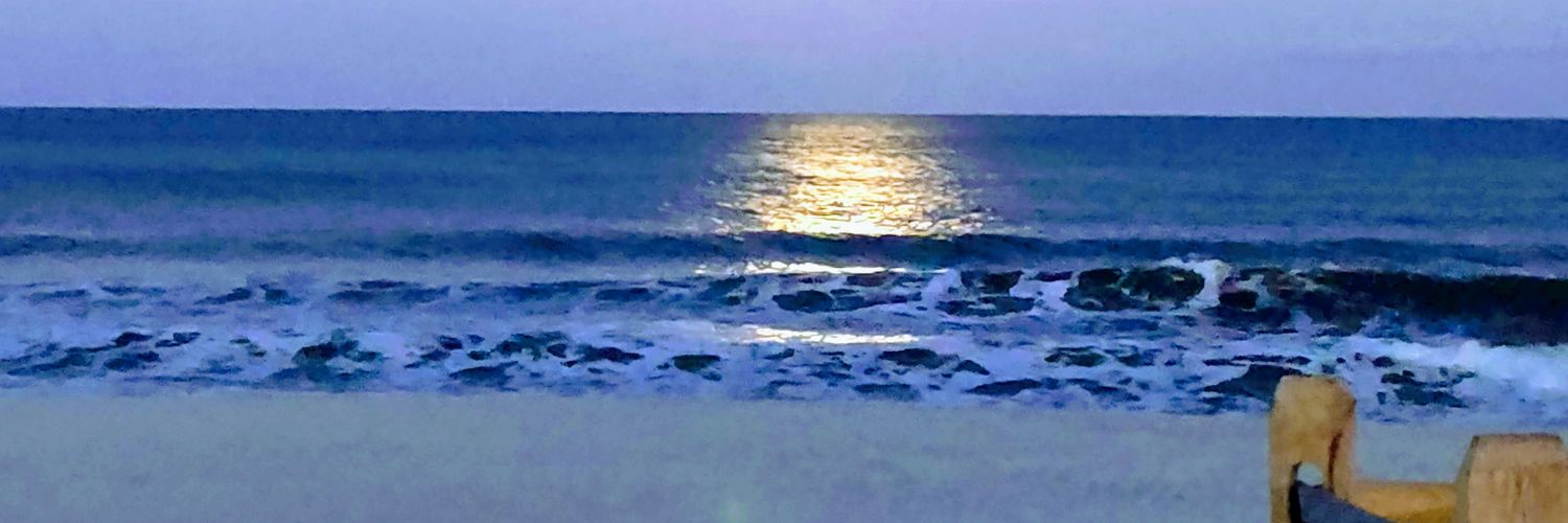 MichaelHanulec banner