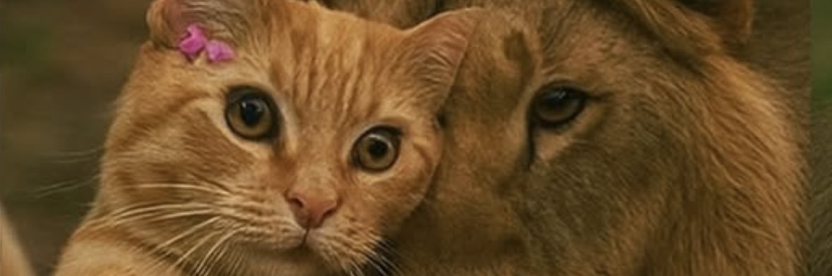 Emineacunn's profile banner image