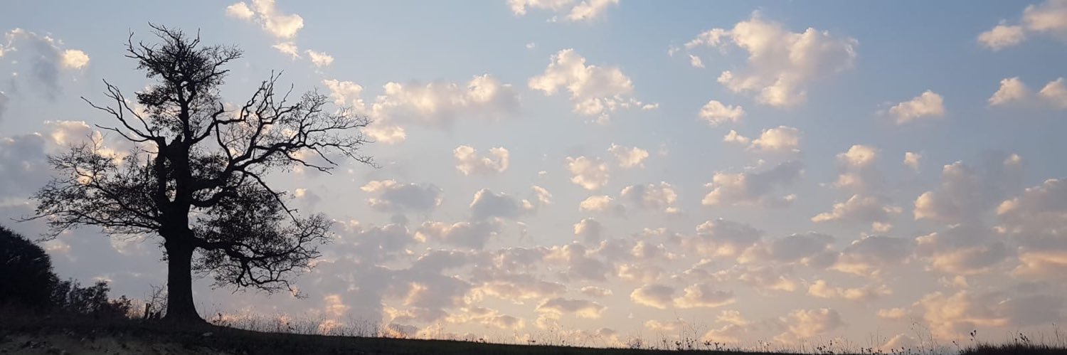 Kbra68836382's profile banner image