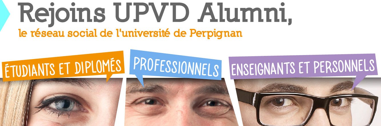 IAE perpignan banner