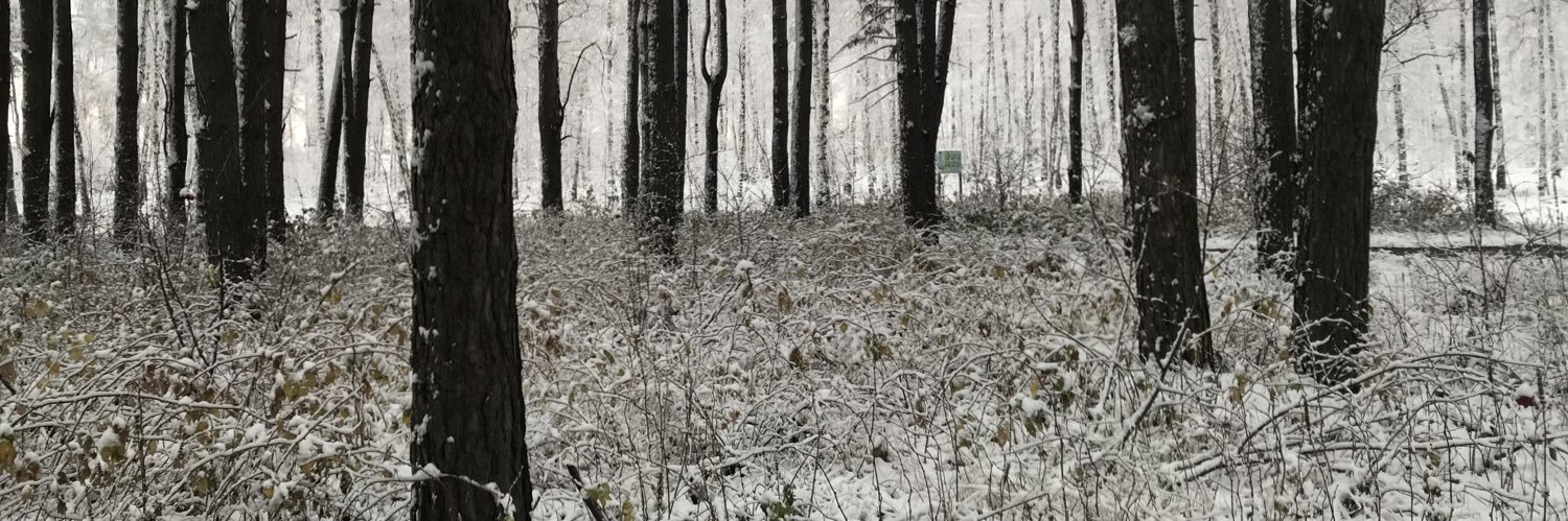 qvqi2x's profile banner image