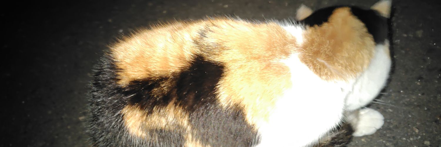 Y@Uber軽貨物配達員 banner