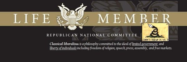 thxUSA Profile Banner