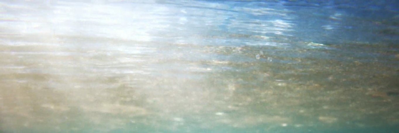 n_sisanto's profile banner image