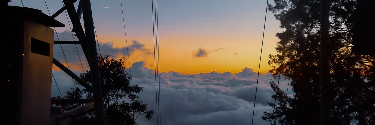 Victoria M. Cova banner