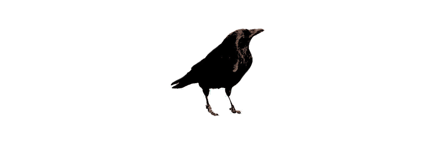 ‍ ‍ # 𝓱𝐮𝐧𝐭𝐞𝐫 𝓬𝐥𝐚𝐫𝐢𝐧𝐠𝐭𝐨𝐧 𑁤 banner
