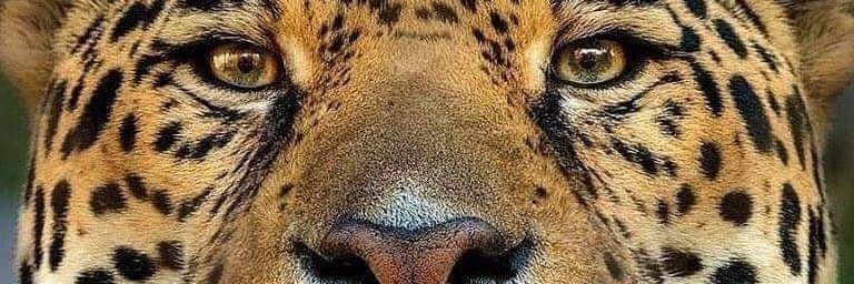 gbn42's profile banner image