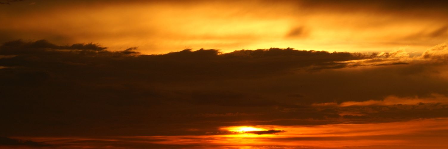 daniloxvv's profile banner image