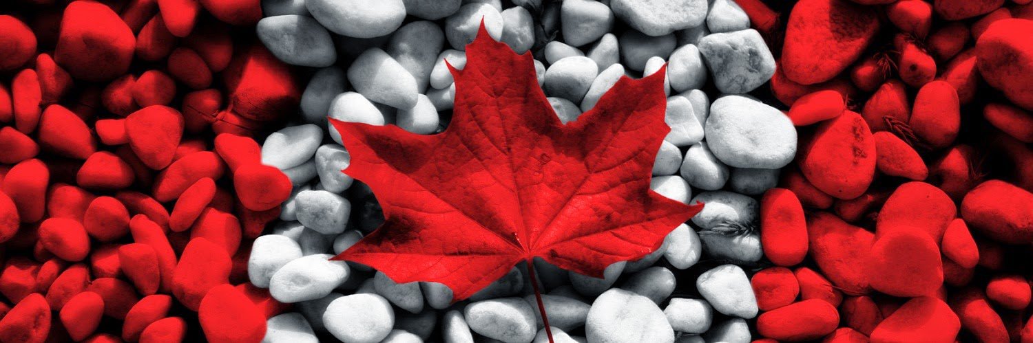 Bryan Callaghan 🇨🇦 banner