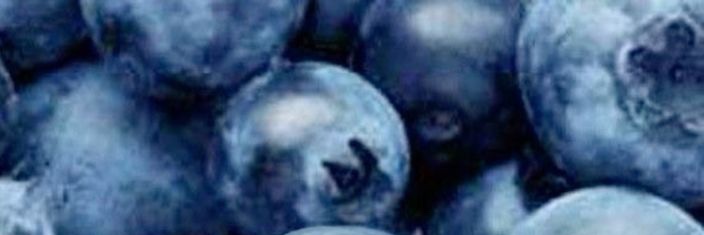 Tueey banner