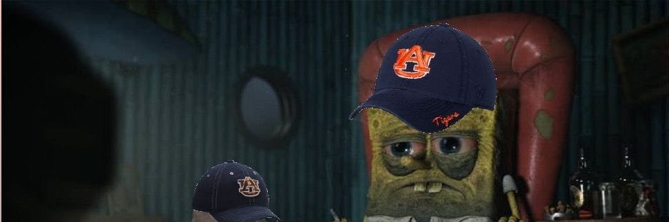 BerryOxinFree 🐅 🦅's banner