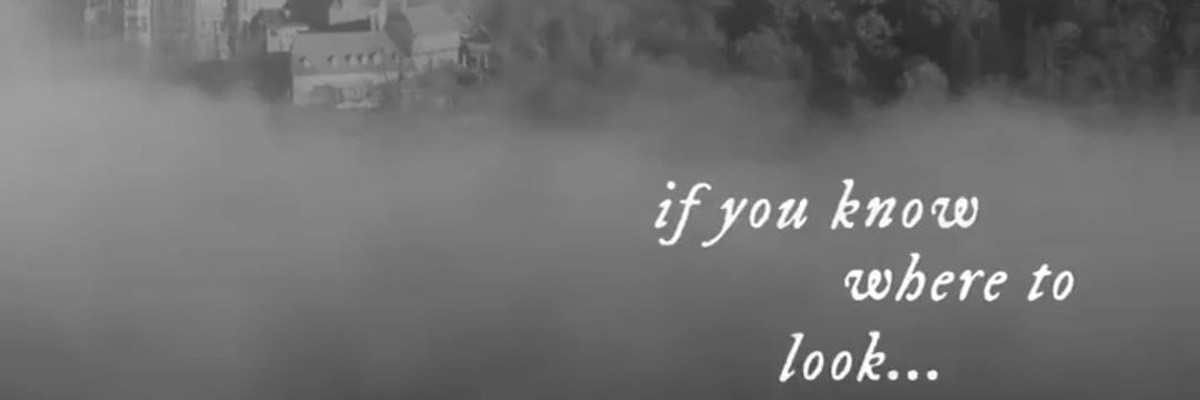 endgamerev's profile banner image