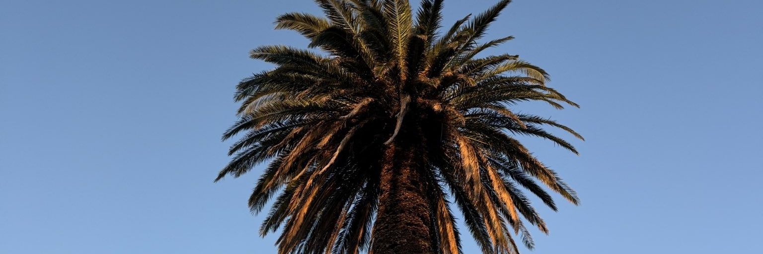 droitman_'s profile banner image