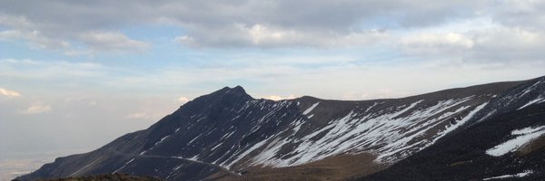 redfox_mx Profile Banner