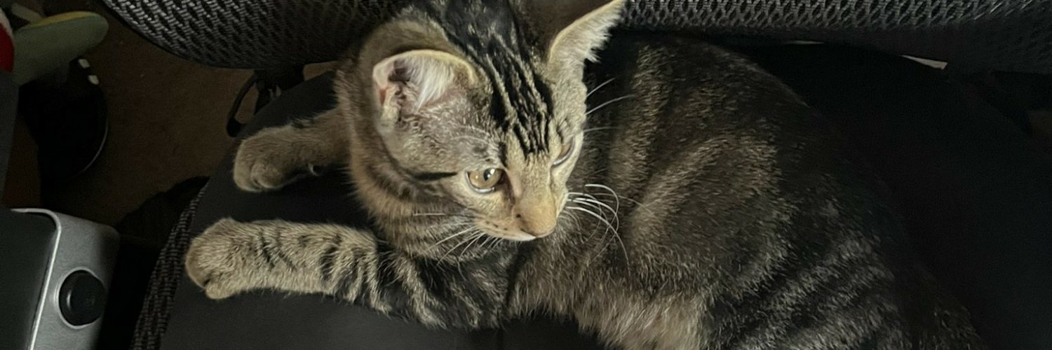 Holdenh00p's profile banner image