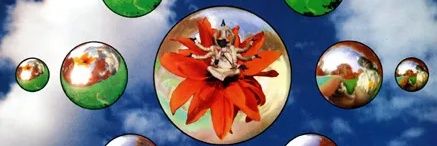 NIGGABOT007's profile banner image