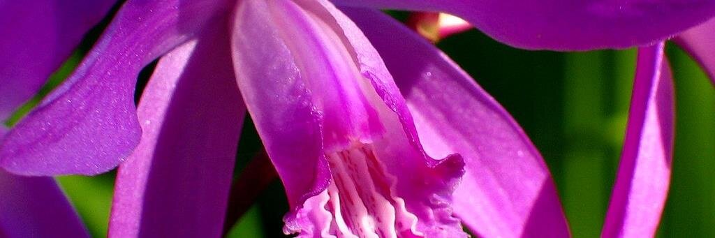 愛知県民。(元) banner