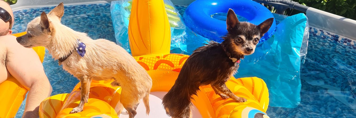 Shell Edwards banner