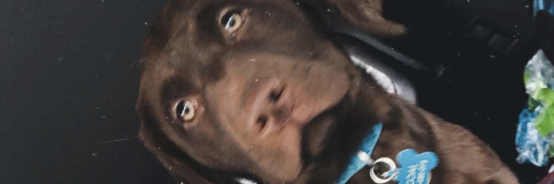 jsev213's profile banner image