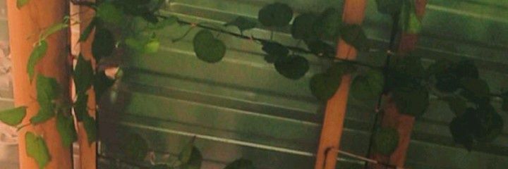 sunnypee08's profile banner image