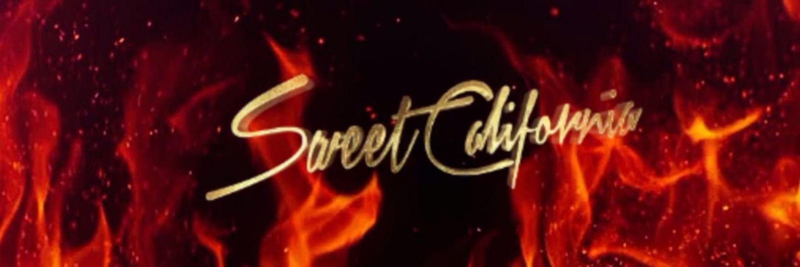 Pollito (ella) 🏳️‍🌈🏳️‍⚧️ banner