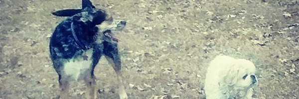 SkeriOne Profile Banner