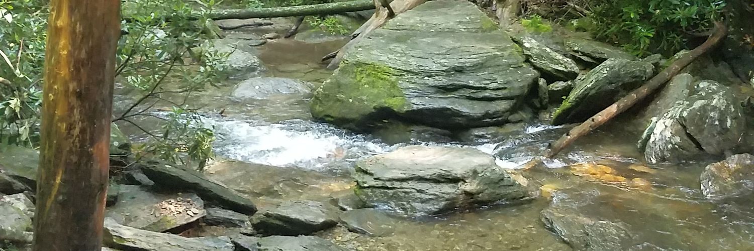 chel_chillin's profile banner image