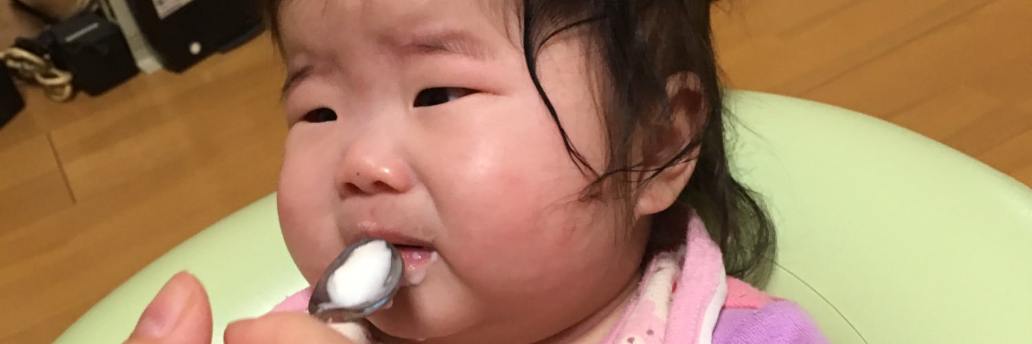 0419Pu's profile banner image