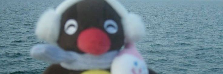 narunurui's profile banner image