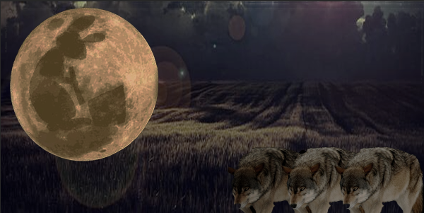 rekusion's profile banner image