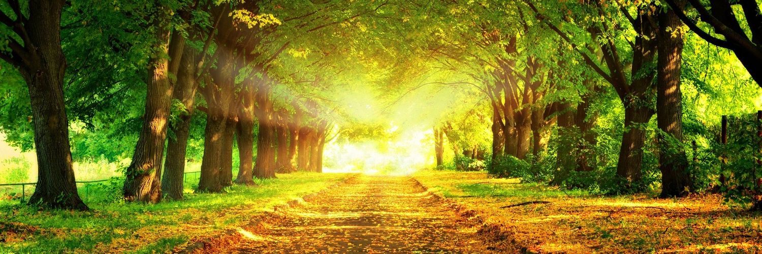 4_astrox's profile banner image