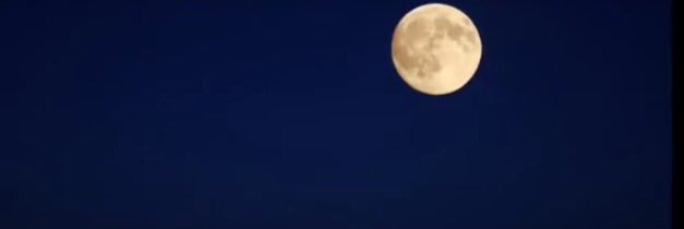 funky_nasty's profile banner image