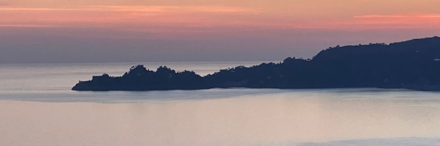 davidmaltese's profile banner image