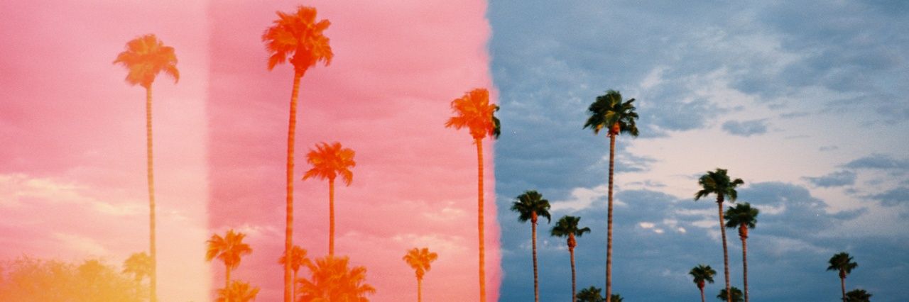 Canndusa's profile banner image
