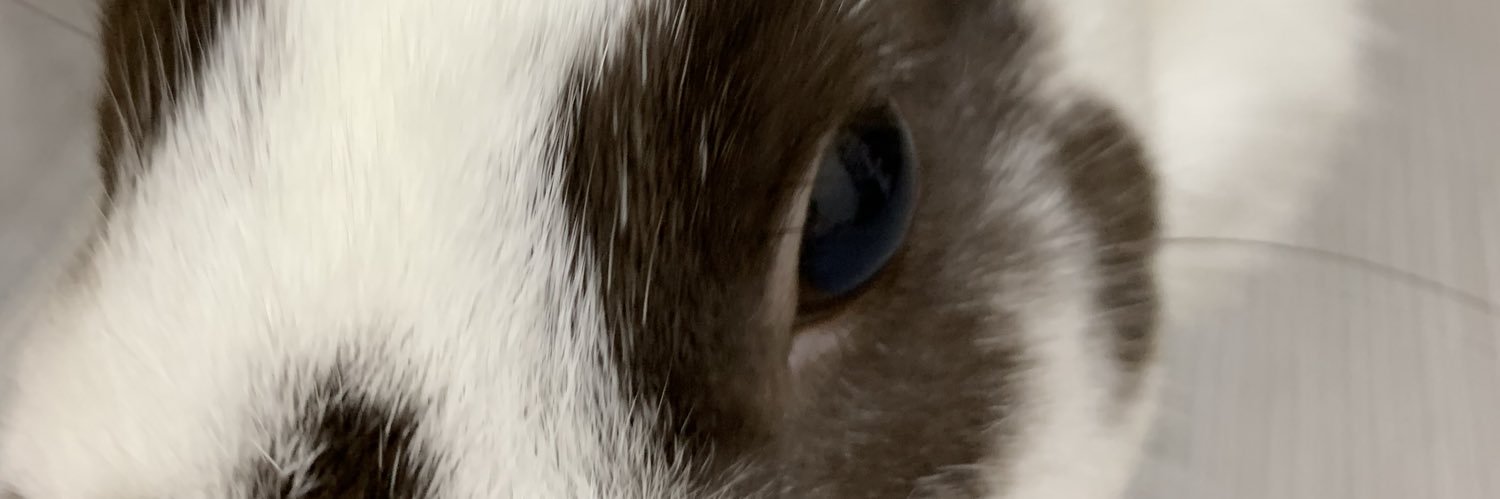 h60306's profile banner image
