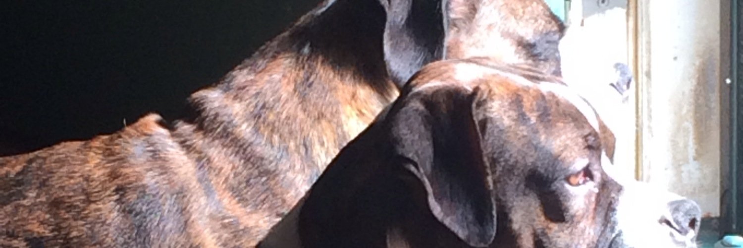 23_brandyw's profile banner image