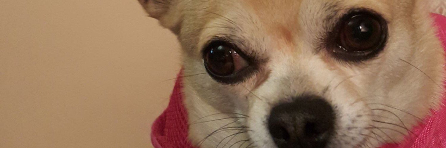 bssntgo's profile banner image
