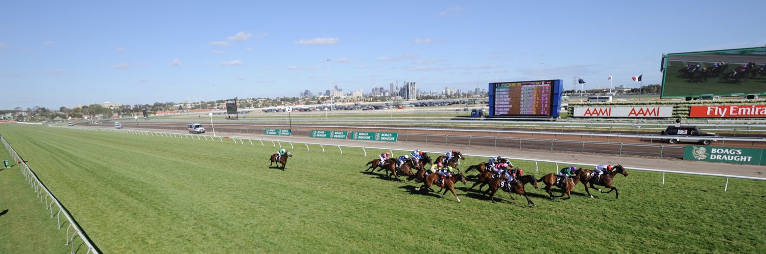 Rising Sun Syndicate🇯🇵 banner