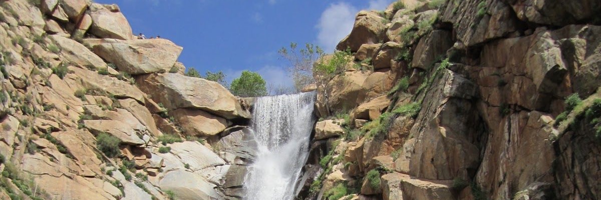 Native 🇺🇸 banner