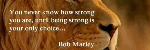 cockles Profile Banner