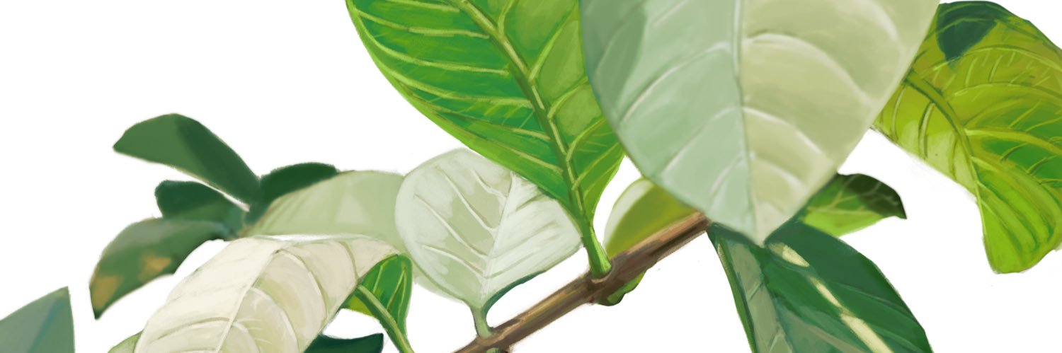 Runteya's profile banner image