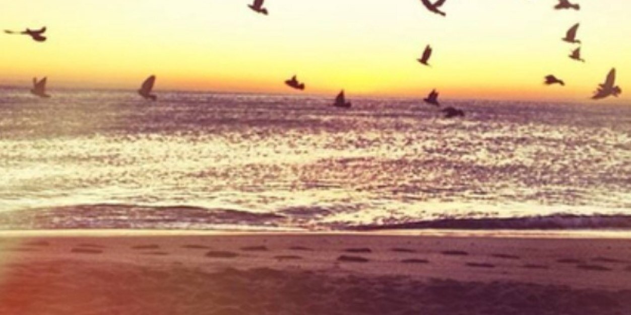 Kiwi_head_'s profile banner image