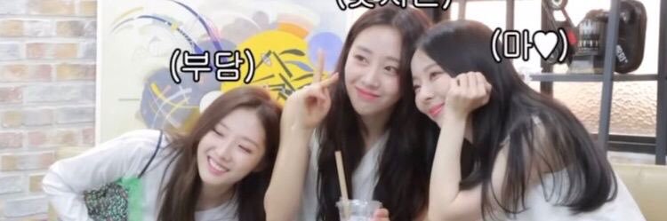 lunbbibi's profile banner image