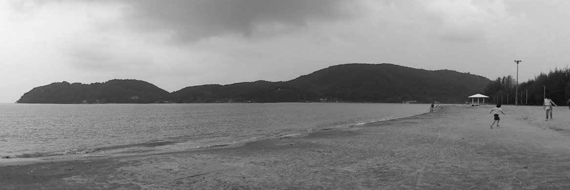 pchalee's profile banner image