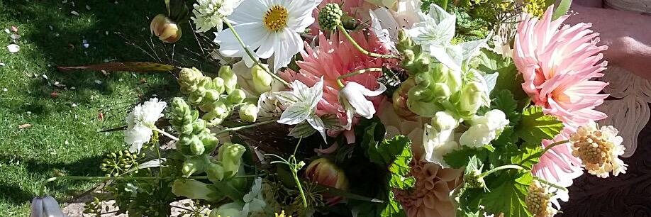HandpickedFlwrs's profile banner image