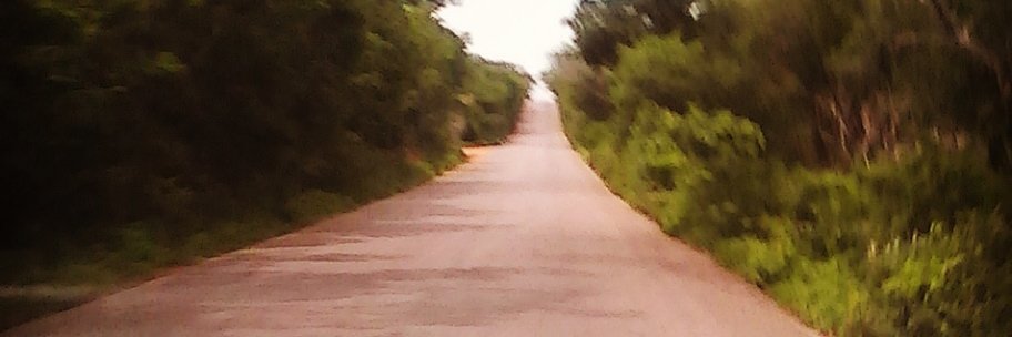 nicalej's profile banner image