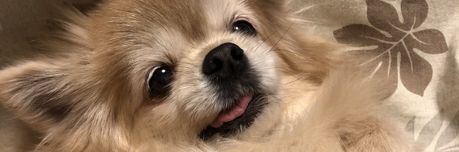 lazulin244's profile banner image